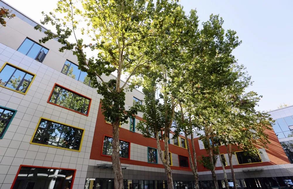 山影星工坊的秋色，與心中的美好不期而遇