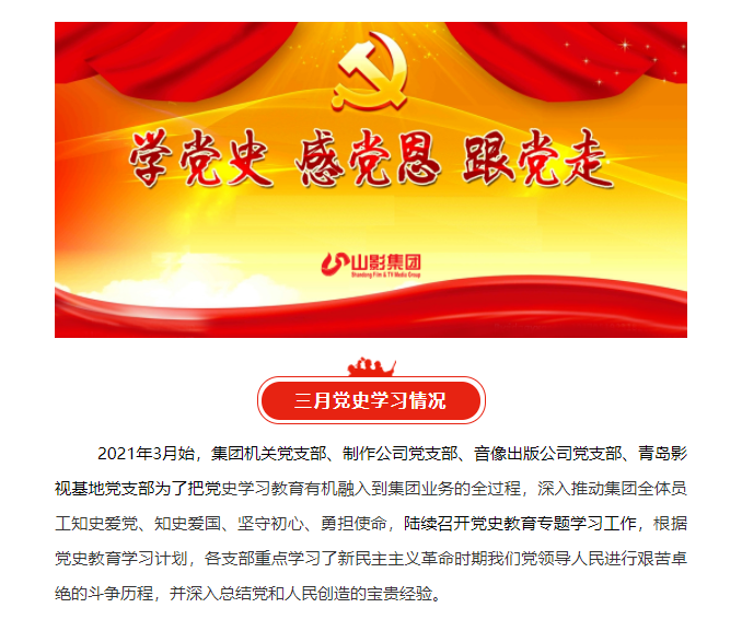 集團各黨支部認真開展黨史學習教育